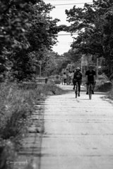 つくばりんりんロード