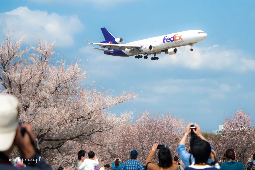 FedEx