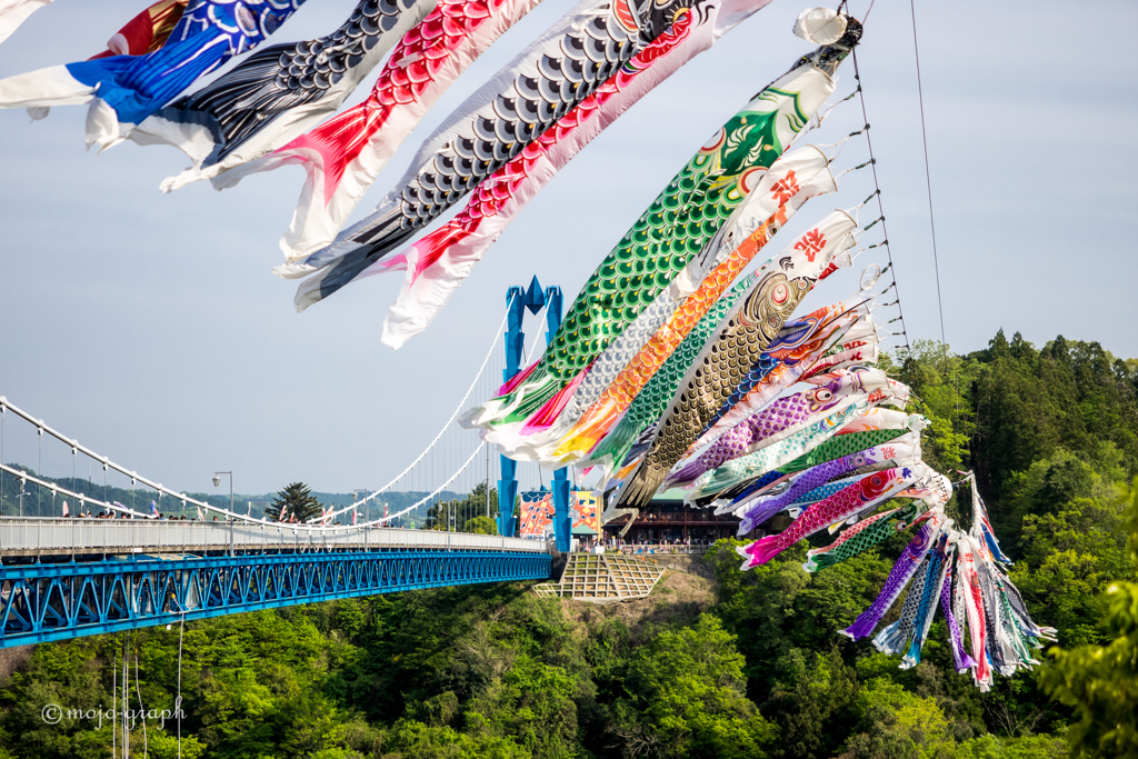 こいのぼり祭り