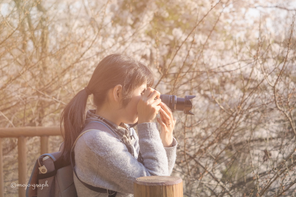 桜写2019