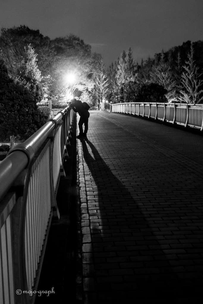 ファインダーを覗く