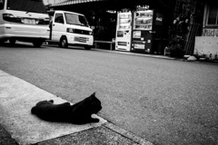 通りの番人