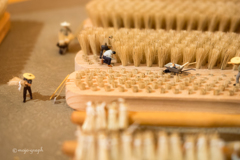 ひよっこのアレ2