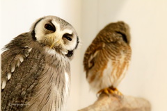 ん？カメラこっち？