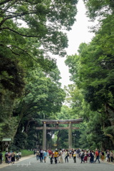 都会の緑
