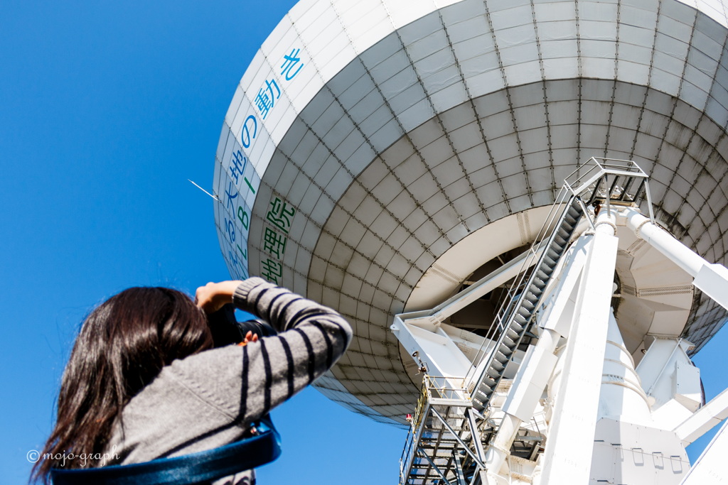 収まりきらないよ