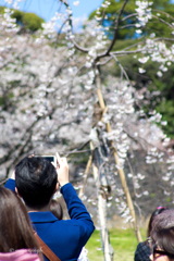 スマホでパチリ