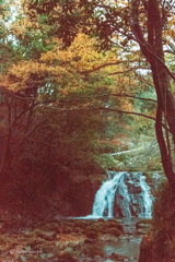 紅葉と滝