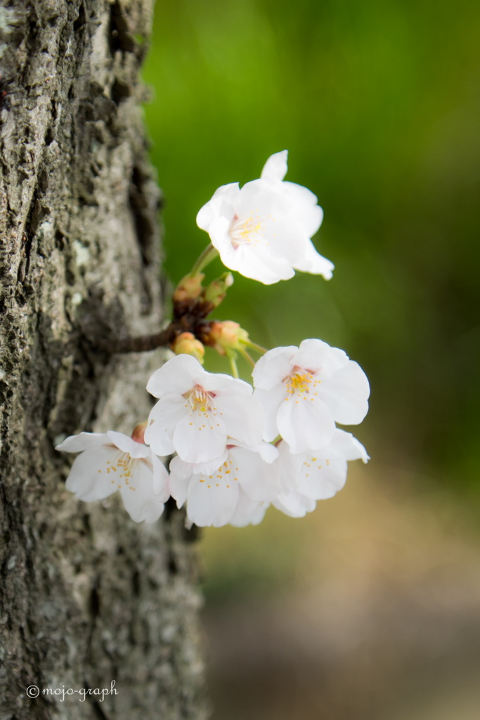 こんなとこにも