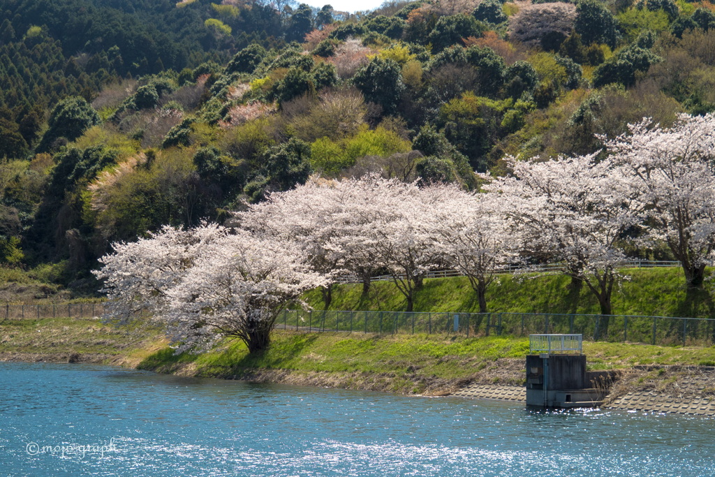 柳沢貯水池