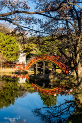 アーチ