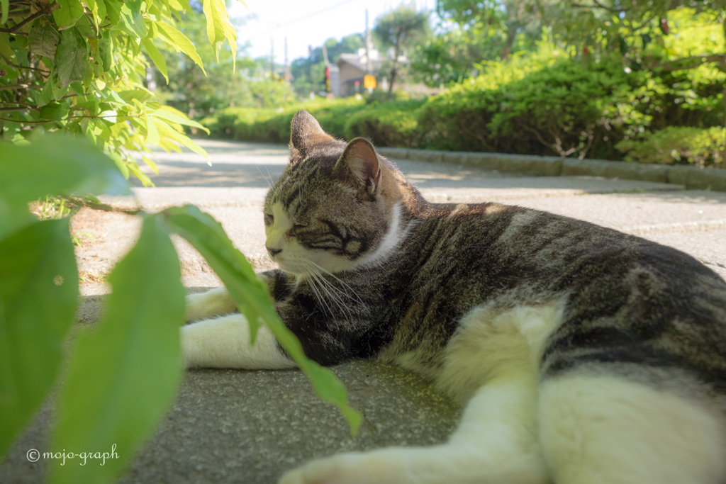 ほっといてください