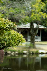 水戸偕楽園