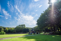 公園の芝生でランチ