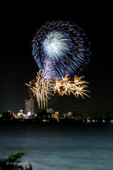 霞ヶ浦越しの花火