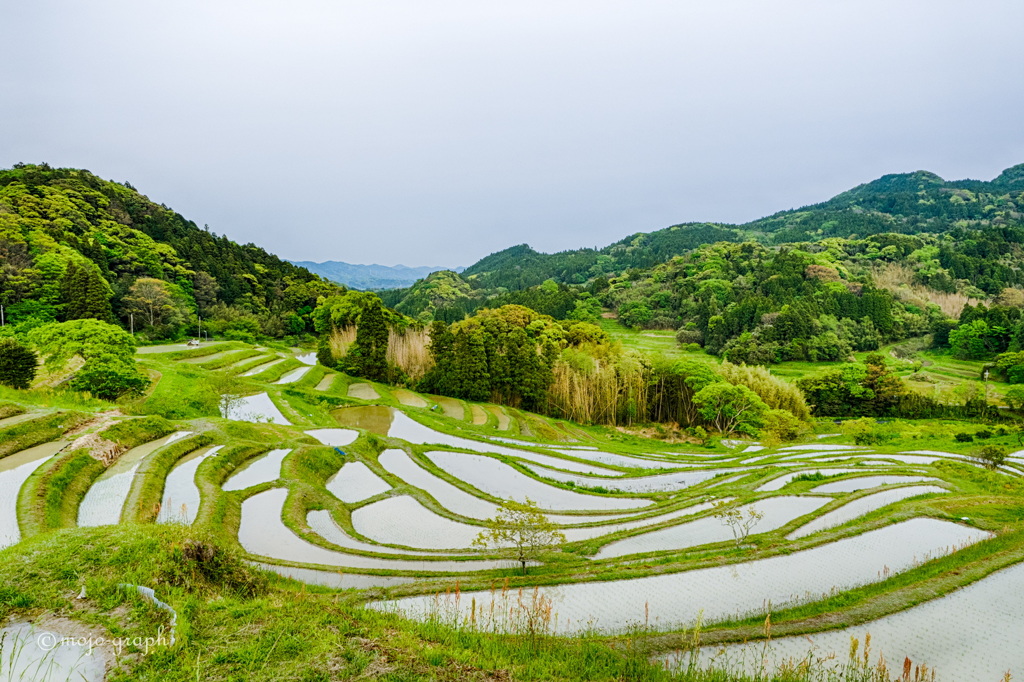 大山千枚田
