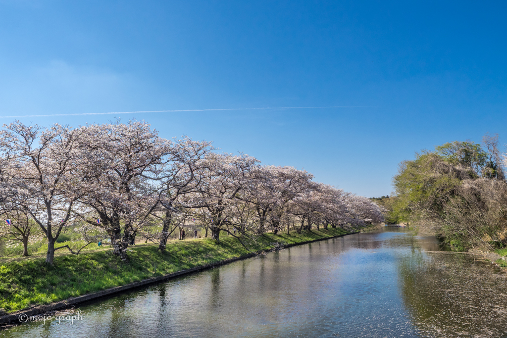 小貝川