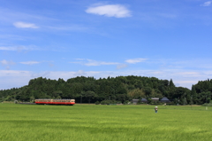 田園