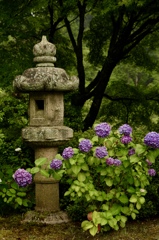 三室戸寺にて