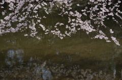 京都御所にて