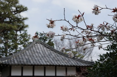 〇〇寺にて