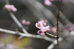 京都御所にて