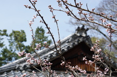 京都御所にて