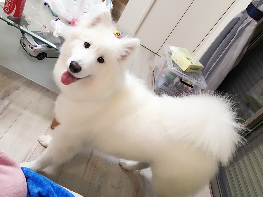 たまたま撮った笑顔〜