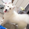 たまたま撮った笑顔〜