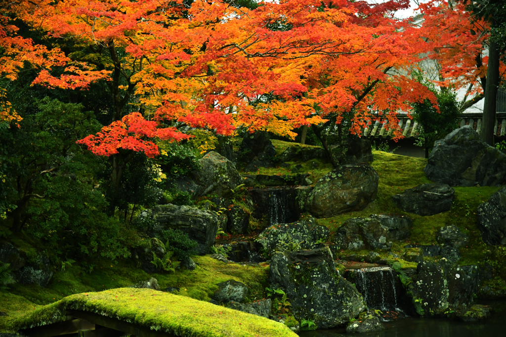 醍醐寺三宝院庭園