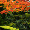 醍醐寺三宝院庭園