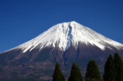 富士山麓
