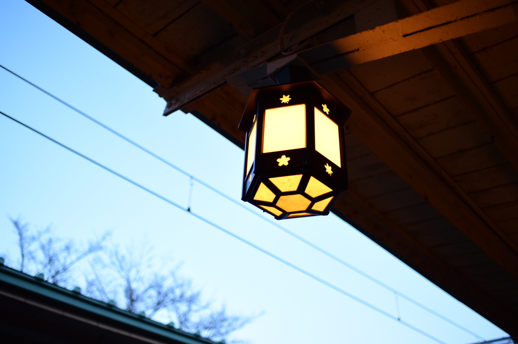 嵐山灯す明かり