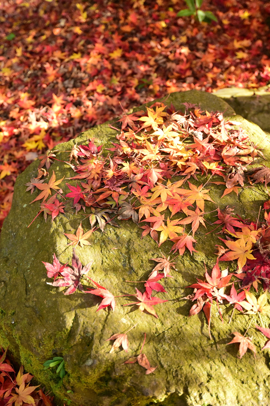紅いクロス