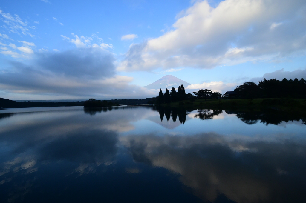 Specular Reflection FUJI