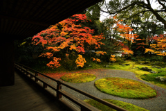 奥ゆかしき日本の庭園