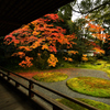 奥ゆかしき日本の庭園