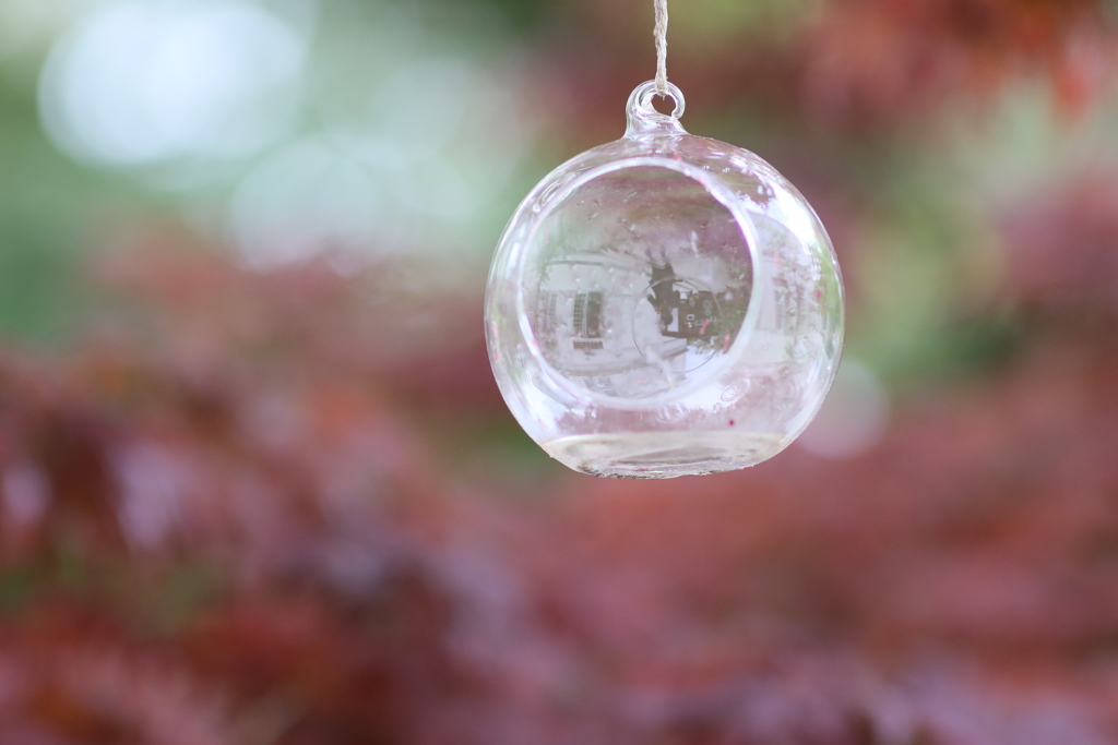 EF85mm F1.4L IS USM　試し撮り