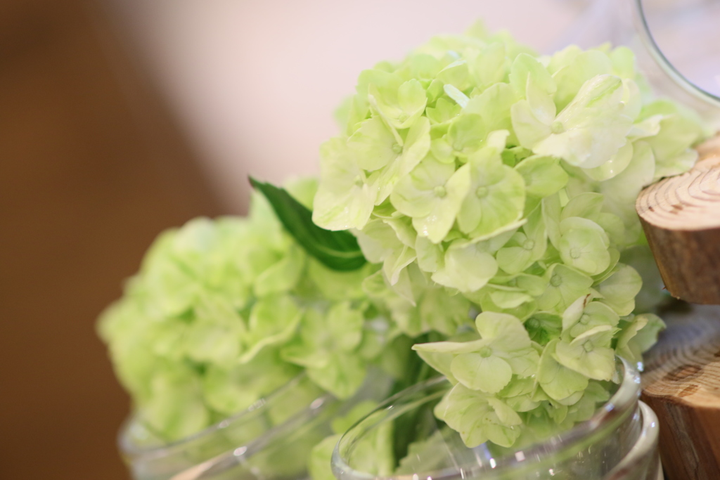 EF85mm F1.4L IS USM　試し撮り