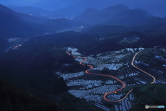 灯路