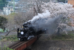 poppo-4