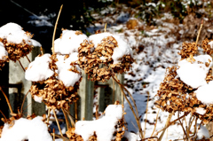 DSCF3361_01
