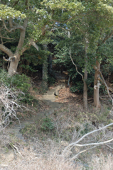 階段