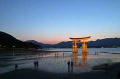 干潮線と厳島神社 大鳥居