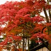 紅葉