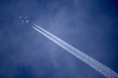 夏空つらぬく