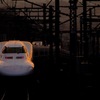 鉄の林を縫って