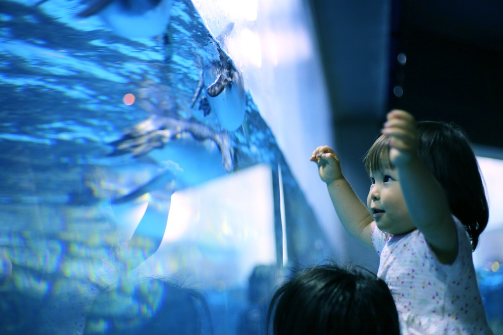 ペンペンな気分