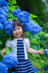 紫陽花のドレス