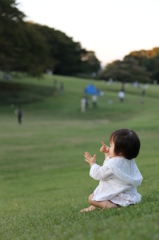 風のタクト